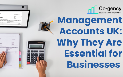 Management Accounts UK: Why They Are Essential for Businesses
