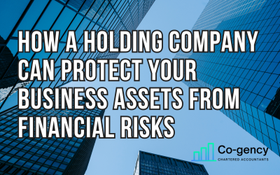 How a Holding Company Can Protect Your Business Assets from Financial Risks